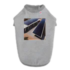 Banksy-sの14. Futura Solar Skies ドッグTシャツ