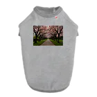 okiraku202の桜並木 ドッグTシャツ