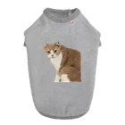 Mashlyのマシロくん猫グッズ ドッグTシャツ