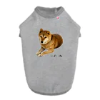 柴犬しばわんこhana873の伏せ？してる柴犬さん ドッグTシャツ