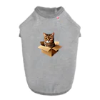 猫の小梅お嬢さんの小梅ちゃん　箱猫 Dog T-shirt