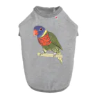 まめるりはことりの色合いが綺麗なゴシキセイガイインコちゃん【まめるりはことり】 ドッグTシャツ