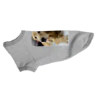 ゴールデンのまりとラブラドールのオレオに娘のあかりちゃんのまり仔猫ドック Dog T-shirt