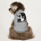 B&I の猫の眼差し Dog T-shirt