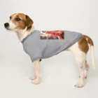 AQUAMETAVERSEの素敵なドレスでパーティ　sanae 2074 Dog T-shirt