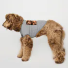 AQUAMETAVERSEの誕生日パーティーだ アメジスト 2846 Dog T-shirt