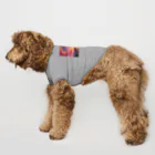 ikeikeikedaの街を照らす夕陽（景色シリーズ） Dog T-shirt