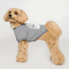 zillのフランス語だから恥ずかしくないポジティブメッセージ Dog T-shirt