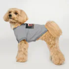 ganeshaのおもちゃの飛行機で遊ぶかわいいブタ Dog T-shirt