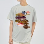MUSEUM LAB SHOP MITのソコモノ図鑑 Dry T-Shirt