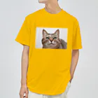 モコネコSHOPのトラねこ ドライTシャツ