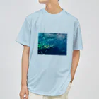 秋刀魚の眼の群れを成す ドライTシャツ