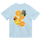 mariechan_koboの064 コガネとウロコと柑橘 Dry T-Shirt