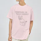 ぺんぎん24の幸せの鍵しっぽネコ(グレー) Dry T-Shirt