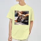 moriyama1981のラグの上で寝ている猫 ドライTシャツ