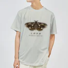 さちこの生物雑貨のイボタガ ドライTシャツ