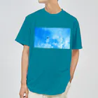 らんすけふぉとのBluesky（航空機） ドライTシャツ