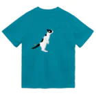 元祖ふとねこ堂のいいにおい ドライTシャツ