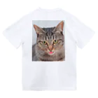 猫の隠れ家のぺ？？ Dry T-Shirt