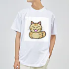 ねこねこにゃんこのねこだぬき Dry T-Shirt