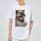 ねこの森でお散歩のさあ、モフりなさいよ。 Dry T-Shirt