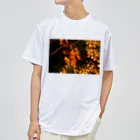 nokkccaのライトアップ紅葉 - Japanese maple(night shot) - ドライTシャツ