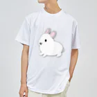 whiterabbit2010のうさぎ　フロスティ Dry T-Shirt