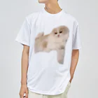 ふうまくんのお店のおねむなふうまくん Dry T-Shirt