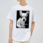 Hisotanのひそたんの飼い犬大福 Dry T-Shirt