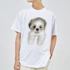 こつきと愛犬の茶々丸の狐月(こつき)の愛犬茶々丸 Dry T-Shirt