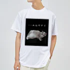 munteaのこはねこ ドライTシャツ