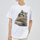 グレージュ猫ロッタン🐈‍⬛のよそ見ロッタン Dry T-Shirt