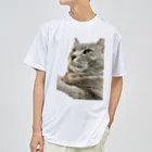 グレージュ猫ロッタン🐈‍⬛の緊張ロッタン ドライTシャツ