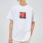 bgengelのひひひひき肉でーす！ Dry T-Shirt