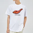 脂身通信Ｚの【魚シリーズ】イッテンアカタチ♪231103 ドライTシャツ