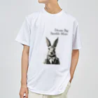 Atelier-StellaのClever Rabbit ドライTシャツ