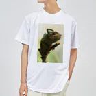 可愛い動物のカメレオン Dry T-Shirt