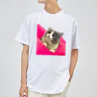 itsukiancoroのアイドルネコのアンちゃん Dry T-Shirt