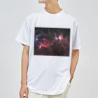 S204_Nanaのオリオン大星雲と馬頭星雲 Dry T-Shirt