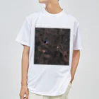 S204_NanaのNGC1539と分子雲 Dry T-Shirt