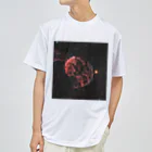 S204_NanaのIC443 クラゲ星雲 Dry T-Shirt