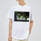 STELLAREOのおとぎの公園の木 Dry T-Shirt