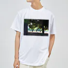 STELLAREOのおとぎの公園の木 ドライTシャツ