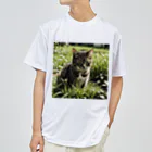 安達聖也の草むらの猫 Dry T-Shirt