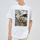 tksの春の顔サクラ Dry T-Shirt