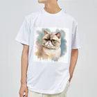 yae_8の猫　ストリートアート風 Dry T-Shirt