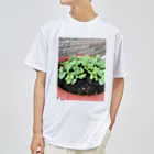 和み屋の新しい始まりを象徴する緑の新芽がプランターから顔を出しました🌱 ドライTシャツ