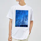 kayuuの神秘的な青い世界 Dry T-Shirt