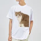 Mashlyのマシロくん猫グッズ ドライTシャツ