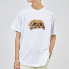 gecomochi0419のアメフクラガエルのげこもちくん Dry T-Shirt